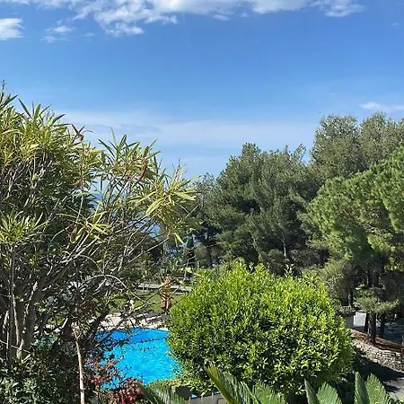 Pinamare